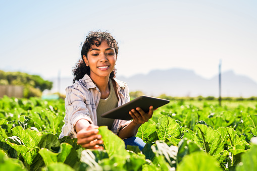 Agriculture